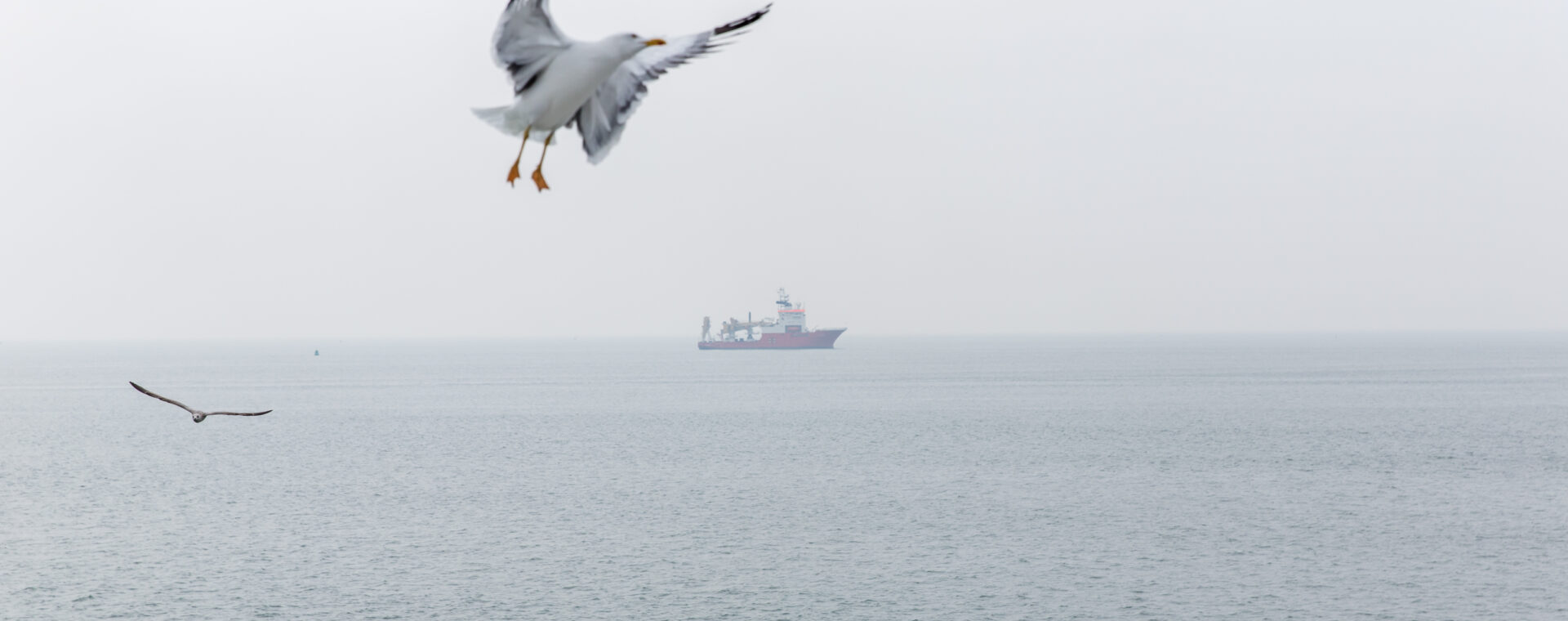 Bootsfahrt Vlieland Texel