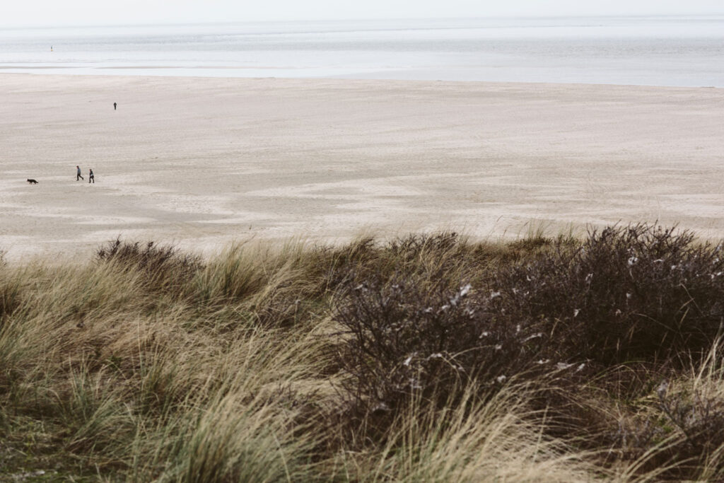 Strand_Dünen_Vlieland